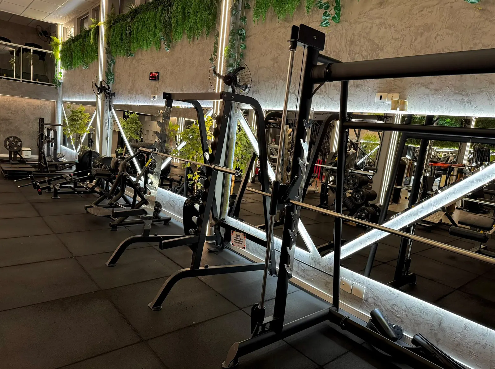 Área de peso livre da FitCompany São Pedro, com smith machine, espelhos e parede de plantas